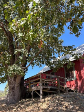 Blue Oak Red Cabin